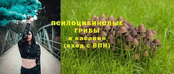 дживик Нефтекумск