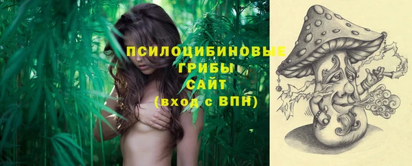 дживик Нефтекумск