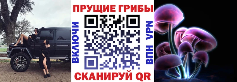 Псилоцибиновые грибы мухоморы  hydra ссылки  Новокубанск  купить наркотики сайты 
