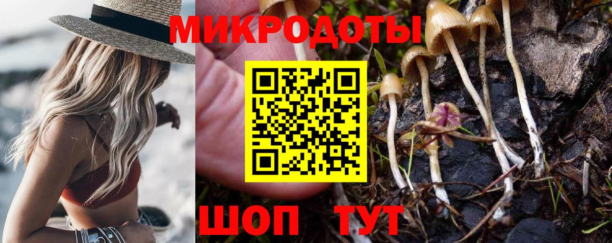 Новокубанск  купить наркотик  Галлюциногенные грибы Magic Shrooms  Вход с VPN  Галлюциногенные грибы мицелий 