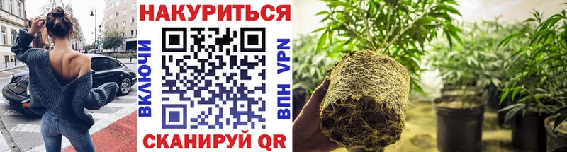 Бошки марихуана гибрид  KRAKEN сайт  Новокубанск 